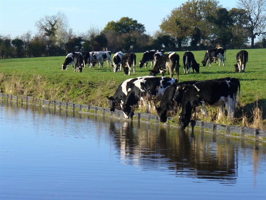 New Hall Farm Ellesmere Port Esterno foto