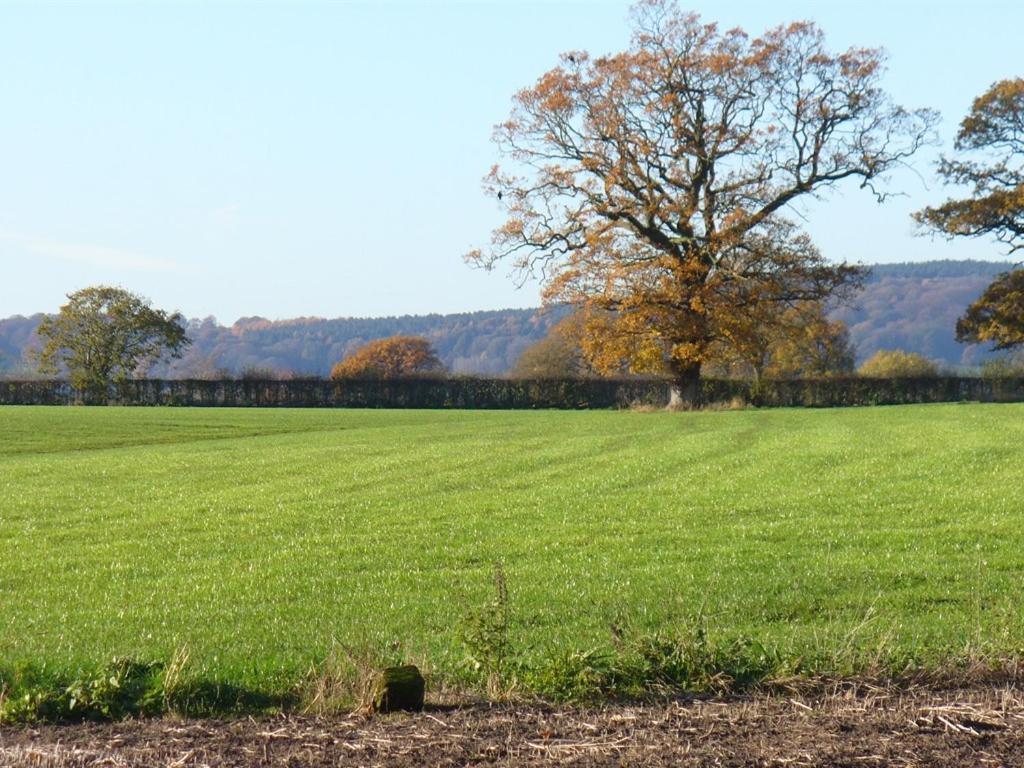 New Hall Farm Ellesmere Port Esterno foto