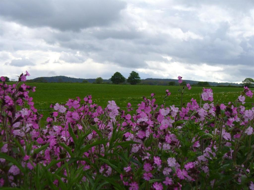 New Hall Farm Ellesmere Port Esterno foto